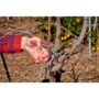 ClassicCUT® Bypass Pruner – Corona – 1/2″